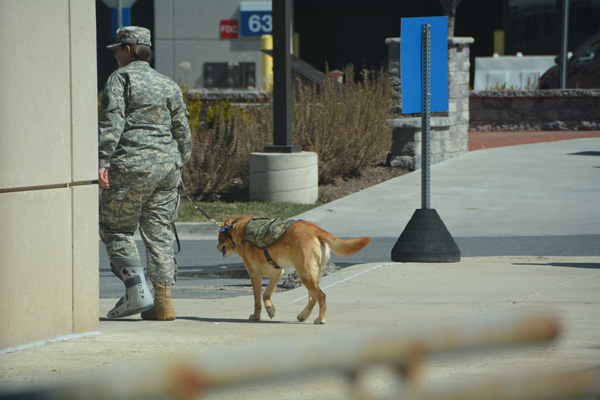 Walter Reed-03-20-2#145897D
