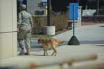 Walter Reed-03-20-2#145897D